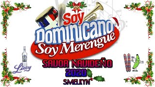 MUSICA NAVIDEÑA DOMINICANA MIX 2024💃 ♫ ★🎺 [upl. by Aniratac]