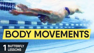 BUTTERFLY SWIMMING TECHNIQUE HOW TO START LEARNING BEST TIPS [upl. by Michiko]