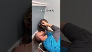 This Vet Helped a Scared Dog Overcome Its Trust Issue 🥰 shorts [upl. by Maher]