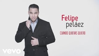 Felipe Pelaez  Cuando Quieras Quiero Cover Audio [upl. by Hereld]