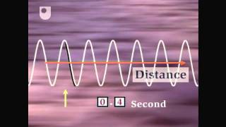 Oscillation and Wave Speed  Exploring Wave Motion 25 [upl. by Alatea]