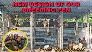 BREEDING PEN DESIGN FOR FREE RANGE CHICKEN  RHODE ISLAND RED BREEDERS  FREE RANGE FARMING [upl. by Wendel]