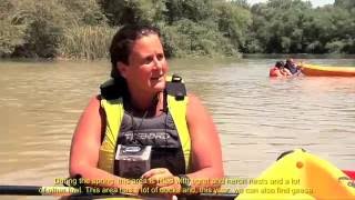 Descenso del CarpioDescent by canoe in the Guadalquivir river [upl. by Adnuhsal936]