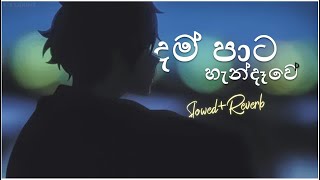 Dham Pata Handawe දම්පාට හැන්දෑවේ SLOWEDREVERBED [upl. by Cohette687]