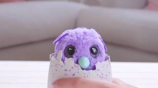 Hatchimals  Introducing Hatchimals Burtle  Only at Walmart [upl. by Ahsinirt970]