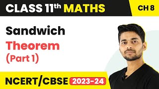 Class 11 Maths  Sandwich Theorem Part 1  Limits and Derivatives [upl. by Baiel]