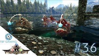 Ark Valguero Angler Fish Taming for Silica Pearls E36 Ark Survival Evolved Valguero Map DLC [upl. by Lissak]