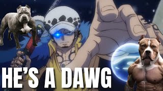 TRAFAlGAR D LAW HAS THAT DAWG [upl. by Bunni]