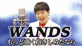 WANDSの『もっと強く抱きしめたなら』をMrシャチホコが本気で歌ってみたWANDS上杉昇ものまね [upl. by Copland]