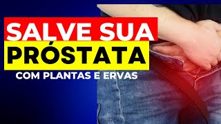 Descubra as Ervas Milagrosas que Salvam sua Próstata  Previna e Reduza Doenças da PRÓSTATA [upl. by Buskirk]