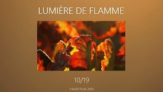 LUMIERE DE FLAMME 1019 [upl. by Yeroc793]