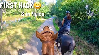 FIRST hack on new loan horse  Fanta  equinemollie [upl. by Notaek]