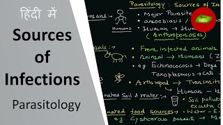 Sources of infections in Hindi  Host  Parasite  Parasitology in Hindi  Basic Science Series [upl. by Lednew139]