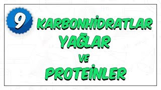 9 Sınıf Biyoloji  Enerji Veren Organik Bileşikler  Karbonhidratlar Yağlar Proteinler [upl. by Omora]