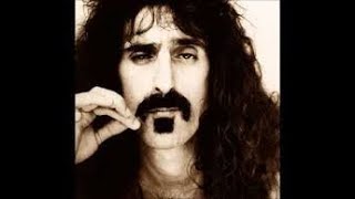 CAMARILLO BRILLO by Frank Zappa Dr John AnalysisReaction [upl. by Odnuges]