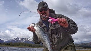 How to LEGALLY Snag Salmon in Seward Alaska [upl. by Neelya861]