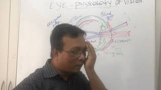 Anatomy of EyeRefractive errors and Pathophysiology of Glaucoma [upl. by Skardol905]