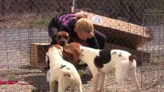 Free to Be Me  Puppy Mill Rescue Dogs Now Thriving [upl. by Immas]