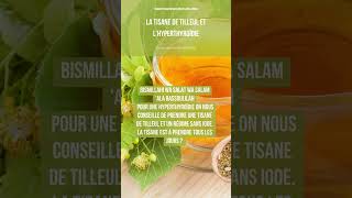 LA TISANE DE TILLEUL ET HYPERTHYROÏDIE [upl. by Asilej]