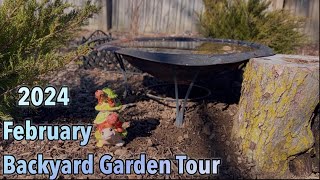 Early February 2024 Backyard Garden Tour [upl. by Dlaner420]