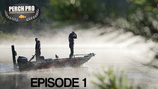 PERCH PRO 5  Episode 1  The Topwater War with German French amp Polish subtitles [upl. by Ard158]