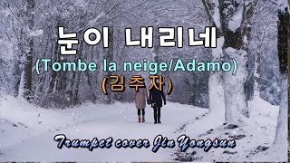 눈이 내리네Tombe la neige Adamo 김추자 songogin트럼펫 [upl. by Nolahs]