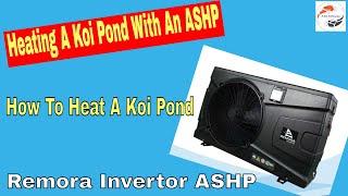 Heating a Koi Pond With An Air Source Heat Pump Part 1  How To Heat A Koi Pond  Remora ASHP [upl. by Stannwood]