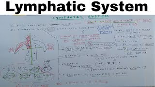 Lymphatic System  Part 1  Thoracic Duct  The Charsi of Medical Literature [upl. by Ahseile366]