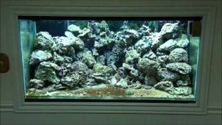 DIY LED Reef Aquarium Light  Part 3 [upl. by Atterol]