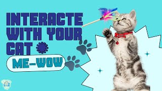 Boost Your Cats Wellness Fun Games for a Happy Healthy Feline [upl. by Afesoj]