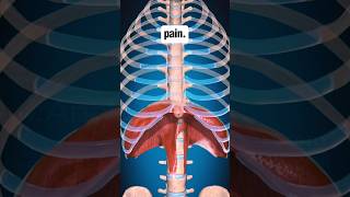 The Diaphragm Secrets of treating Low back Pain [upl. by Dov281]