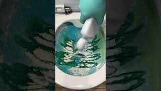 ASMR Toilet Cleaning✨ [upl. by Comras]