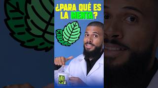 ¿Para qué sirve el TÉ DE MENTA shortsviral doctor menta [upl. by Harwilll]