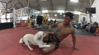 Banchamek Gym Muay Thai  Buakaw gym [upl. by Naomi]