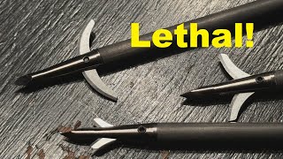 Mechanical Broadheads  GAME CHANGERS [upl. by Ot798]