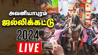 🔴அவனியாபுரம் ஜல்லிக்கட்டு நேரலை  Jallikattu Live 2024  Avaniyapuram [upl. by Saber266]