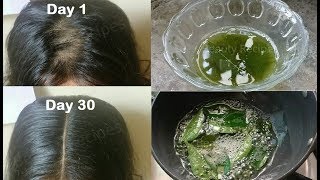 Homemade Curry Leaves Hair oil for Double Hair Growth Turn thin hair to thick hair get Long Hair [upl. by Ahsar]