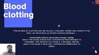 Blood clotting Mechanism Simplified [upl. by Htebazila]