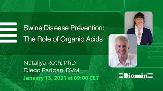 Swine Disease Prevention  The Role of Organic Acids [upl. by Nadia]