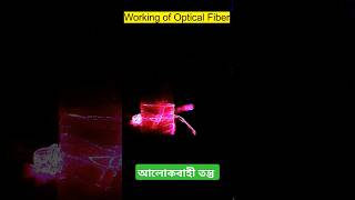 আলোকবাহী তন্তু Optical Fiber working lightExperiment scienceexperiment [upl. by Eiramoj448]