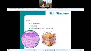 CG  BIO160  Integumentary System [upl. by Saref735]