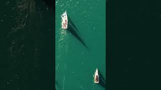 Saffier 33 amp 37  Sailing in sync on Sydneys Pittwater [upl. by Ellon]