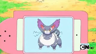 Purugly Pokédex Entrywmv [upl. by Demetra]