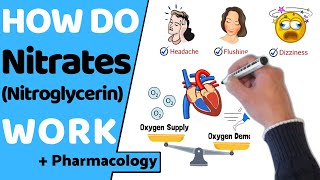 How Do Nitrates Work Nitroglycerin [upl. by Larena]