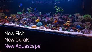 6 Month Old 300 Gallon Aquarium [upl. by Humbert]