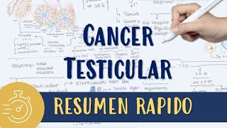 CANCER TESTICULAR FACIL RESUMEN 10 MIN seminoma noseminoma [upl. by Akirret]