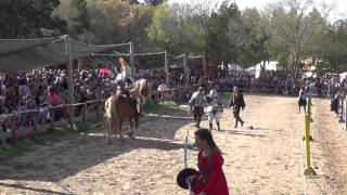 Jousting Tournament  Sherwood Forest Faire 2014 Charlie Andrews amp Ryan Scammon [upl. by Piggy]