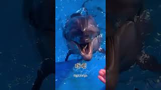 Dont Be Greedy🐬shorts whale animals cure aquarium [upl. by Schinica839]