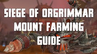 Siege of Orgrimmar Mount Farming Guide [upl. by Lladnew]