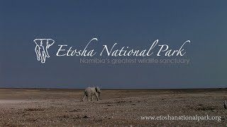 Etosha National Park  Namibia [upl. by Ennaul]